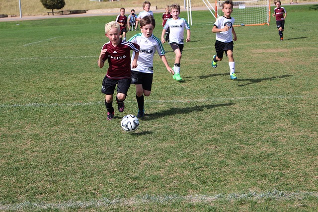 弗拉格：詹姆斯&东契奇&里夫斯像三头龙，他们都能撑起球队