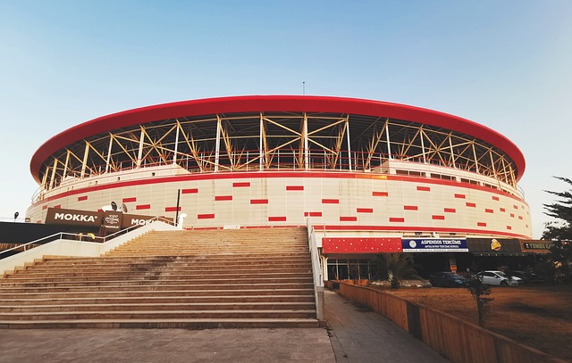 前锋关键射门锁定胜局